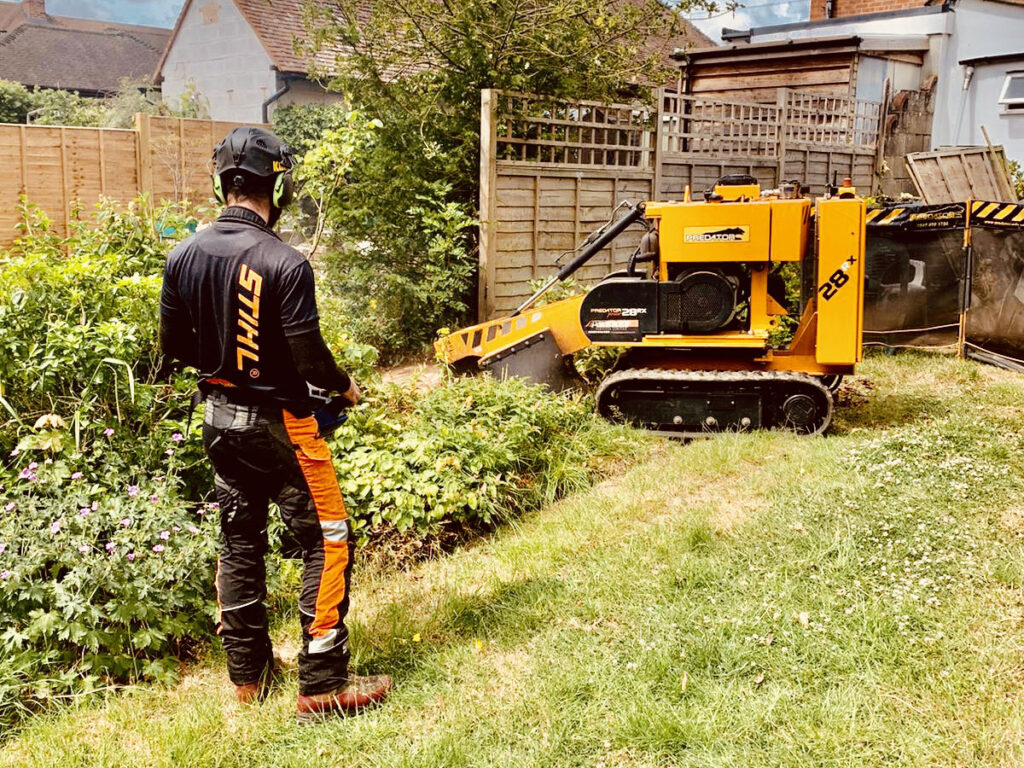 hedge trimming