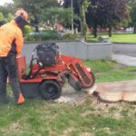 The Importance of Stump Grinding for Your Yard