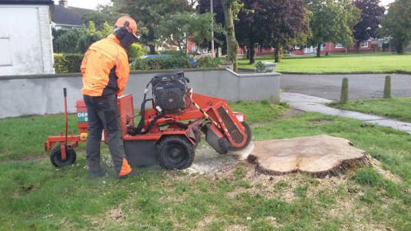 tree stump grinder