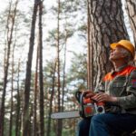 Tree Trimming North Shore: Seasonal Maintenance Tips for Homeowners