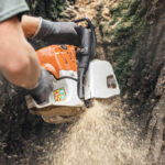 Safe and Efficient Tree Removal: Why Hiring Professionals Matters