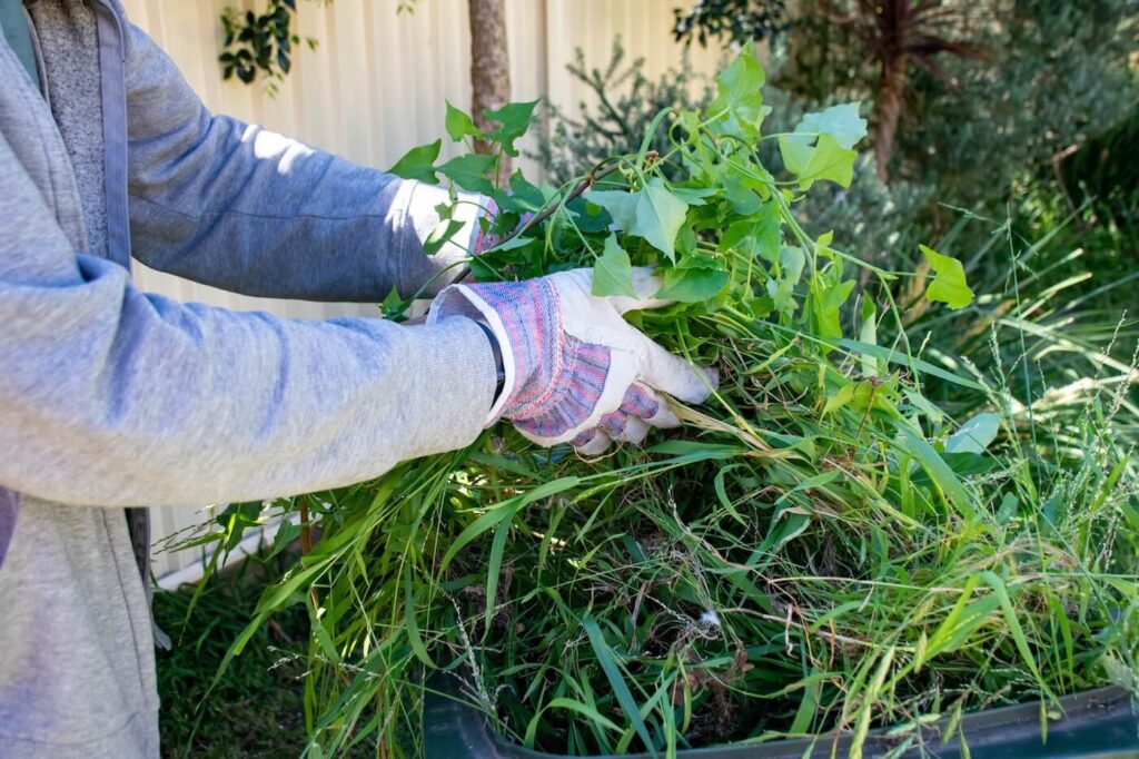 Garden Waste Removal in Sydney and the Ethics of Resource Recovery