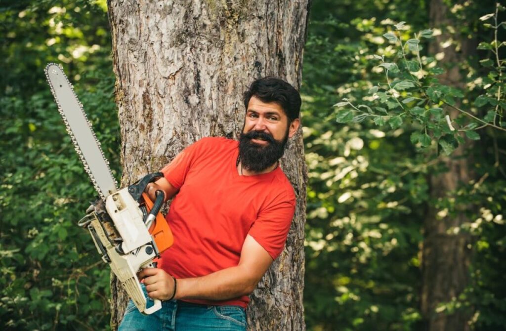 tree removal Mosman