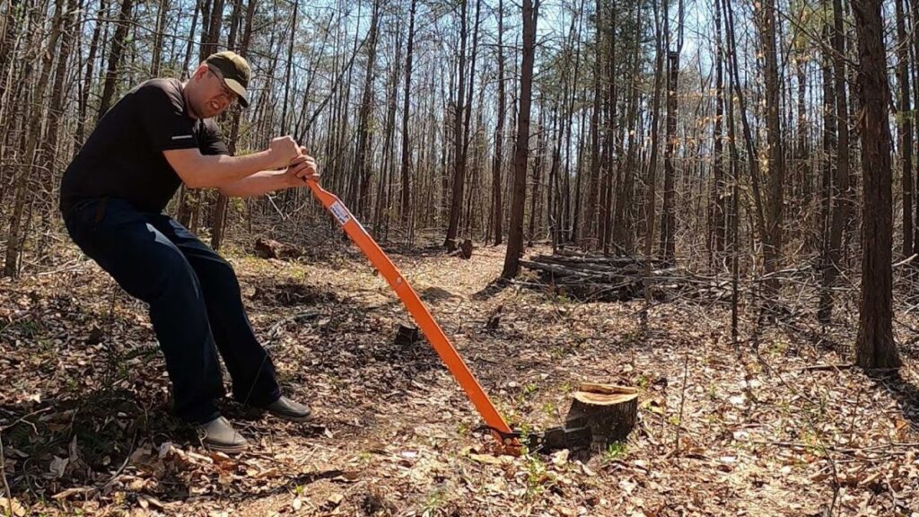 stump grinding services