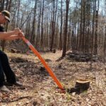 Comparative Review of the Best Tree Removal Inner West Companies for Large Jobs